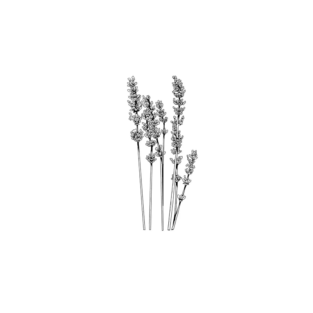 The relaxing nature of LAVENDER - LUXWORKS 
